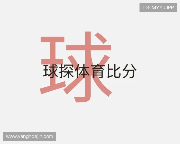介绍球探体育比分